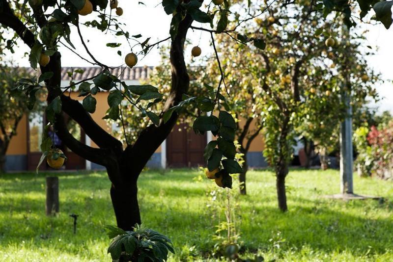 La Terra Del Mezzo Villa Riposto Oda fotoğraf